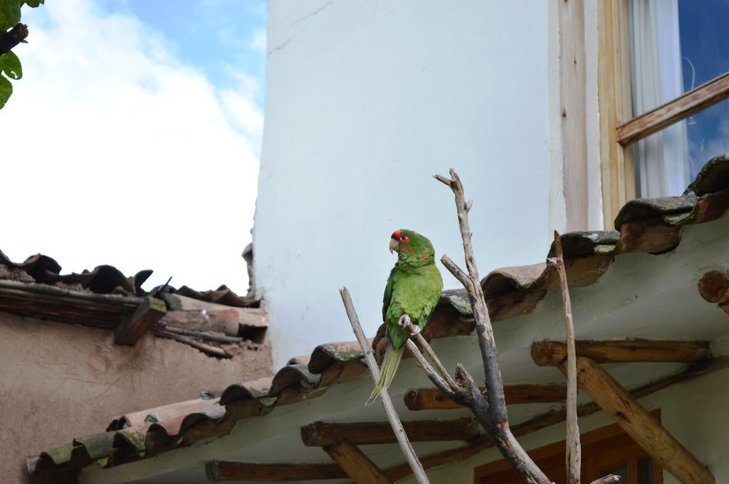 Casona La Recoleta Aparthotel Cuzco Exterior foto